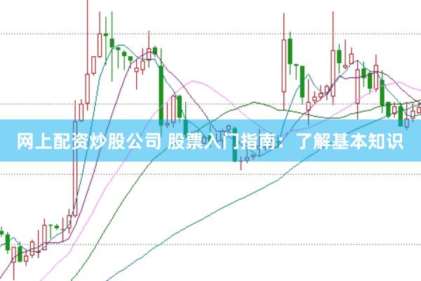 网上配资炒股公司 股票入门指南：了解基本知识