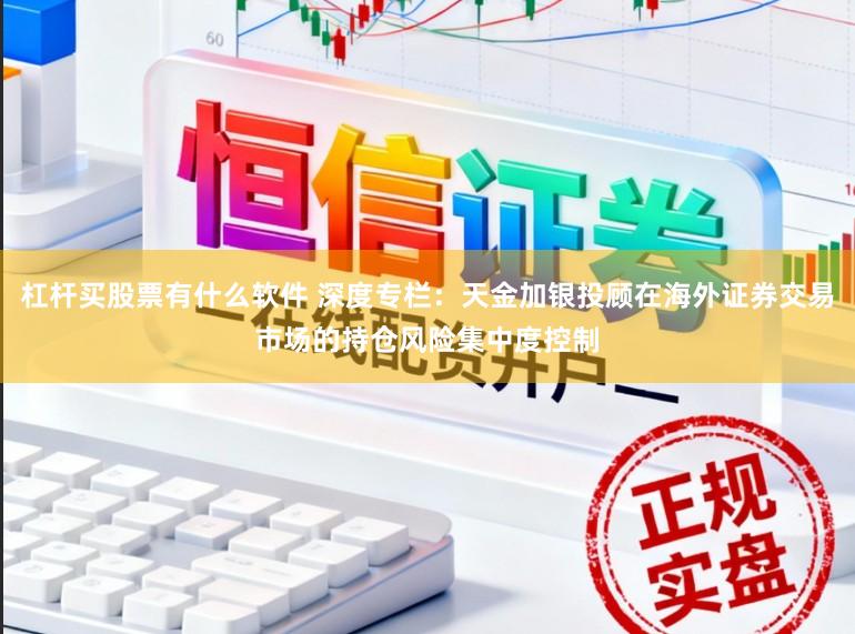 杠杆买股票有什么软件 深度专栏：天金加银投顾在海外证券交易市场的持仓风险集中度控制