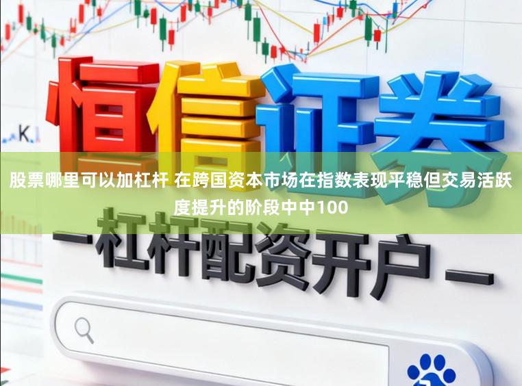 股票哪里可以加杠杆 在跨国资本市场在指数表现平稳但交易活跃度提升的阶段中中100