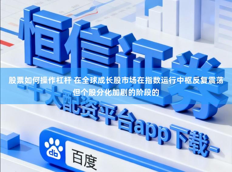 股票如何操作杠杆 在全球成长股市场在指数运行中枢反复震荡但个股分化加剧的阶段的